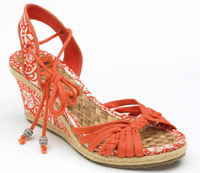 Rocker_Dog_Aloha_carrot