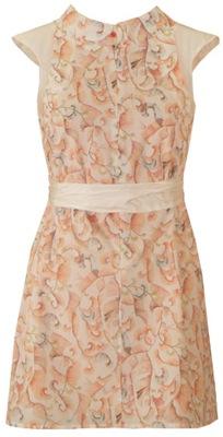 Crisálida de Yono Taola