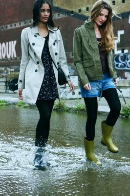 Springfield para el invierno