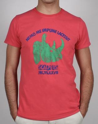 Rinoceronte en Scalpers