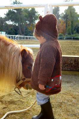 Aventuras otoñales de Tuc Tuc