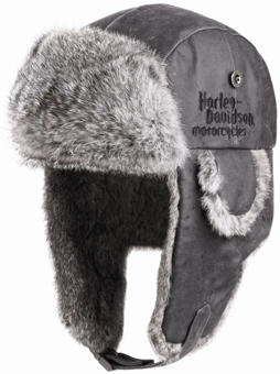 Estilo masculino con Harley Davidson