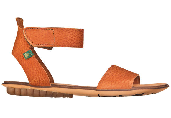 Colores de El Naturalista