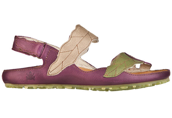 Colores de El Naturalista